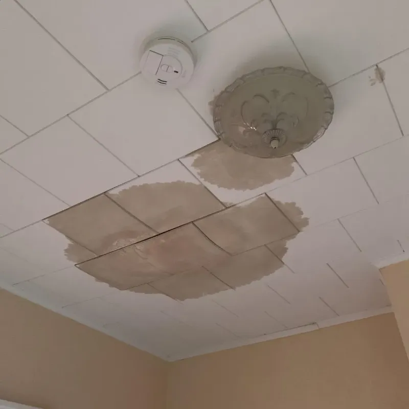 Ceiling Water Damage Repair in Crest, CA