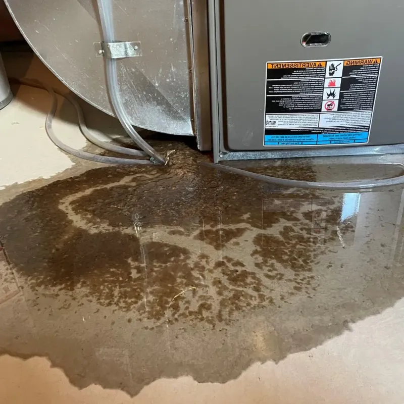 Pipe Burst and Leak Restoration in Crest, CA