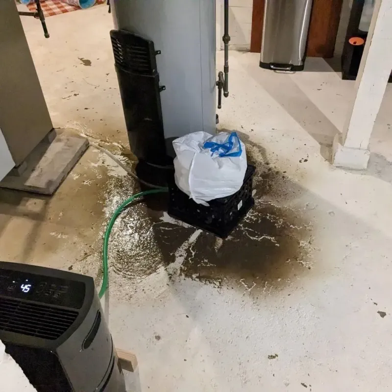 Sewage Backup Cleanup Service in Crest, CA